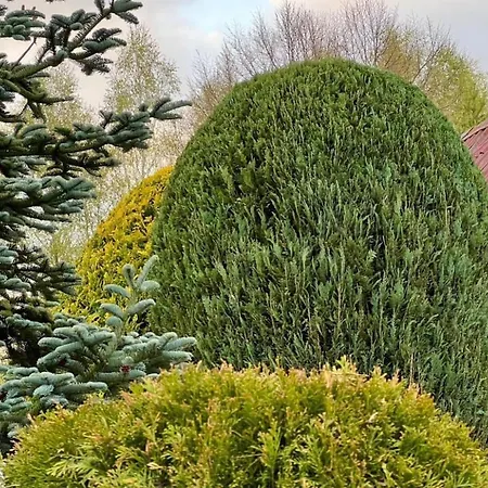 Matylda- Kaszuby Vakantiehuis Nowe Czaple (Pomerania)