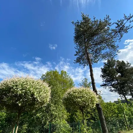Matylda- Kaszuby Nowe Czaple (Pomerania)