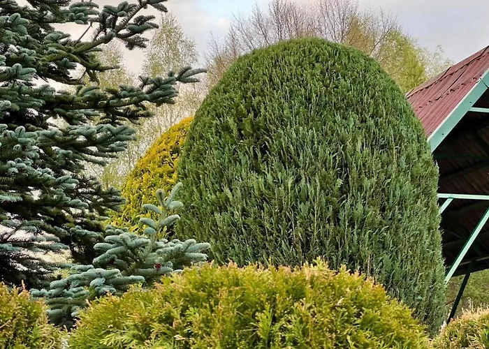 Matylda- Kaszuby Дом отдыха Nowe Czaple (Pomerania)