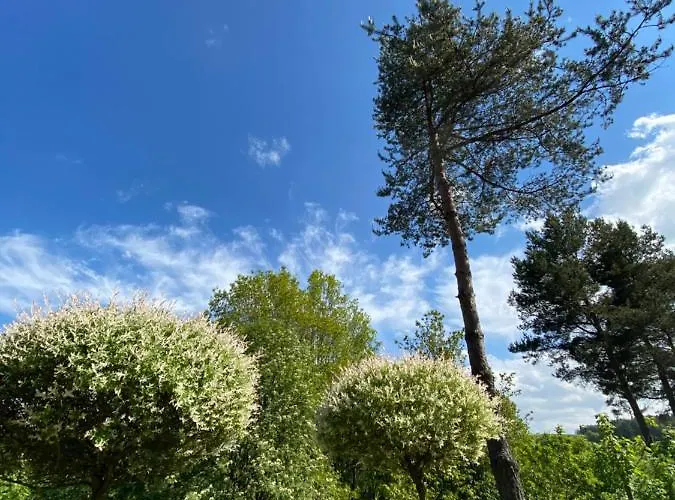 Matylda- Kaszuby Nowe Czaple (Pomerania)